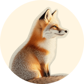 Fiona the fox